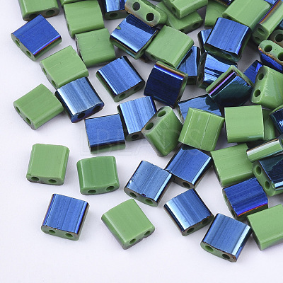 FGB 2-Hole Glass Seed Beads SEED-S031-L-047-L-1