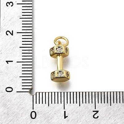 Brass Micro Pave Cubic Zirconia Charms X-KK-P295-19G-1
