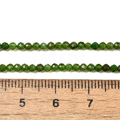 Natural Green Diopside Beads Strands G-NH0046-A01-01-1