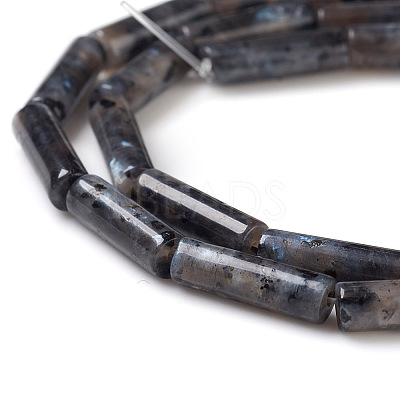 Natural Larvikite Beads Strands X-G-F247-23-1