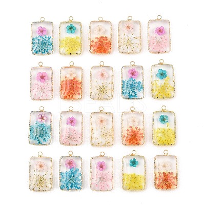 Brass Resin Pendants GL-CBA591C-04G-1