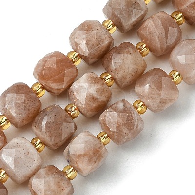 Natural Sunstone Beads Strands G-Q010-A01-01-1