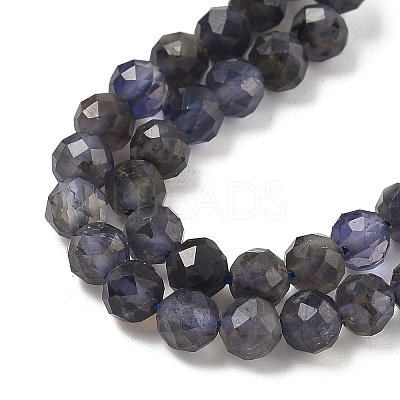 Natural Iolite Beads Strands G-J400-E05-02B-1