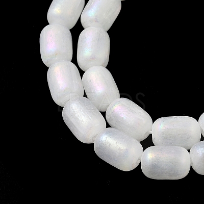 Natural Selenite Beads Strands G-F750-B-21-1