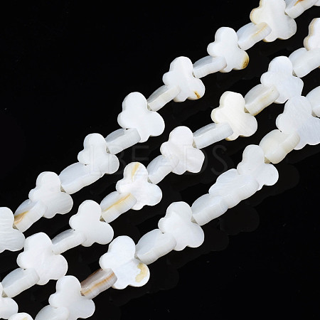 Freshwater Shell Beads Strands SHEL-T009-A18-1