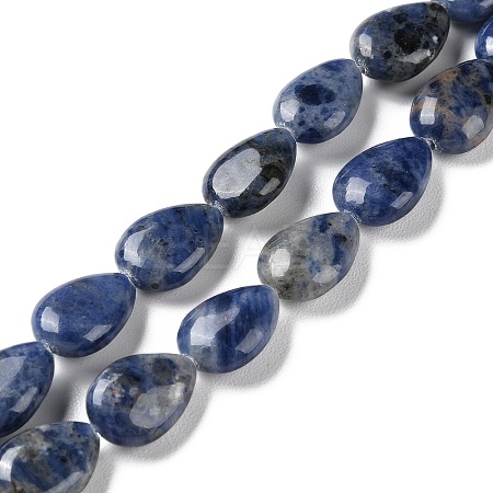 Natural Sodalite Beads Strands G-K357-A01-01-1