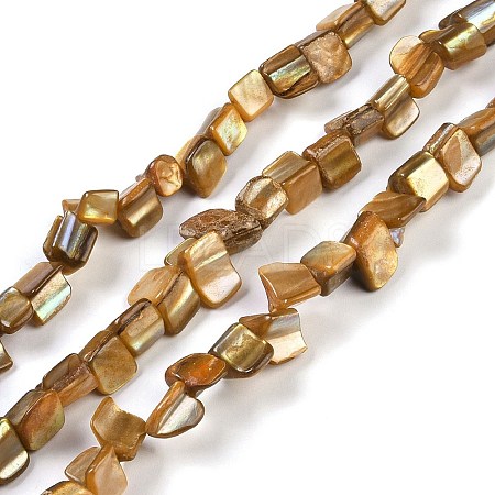 Dyed Natural Freshwater Shell Beads Strands SHEL-P016-01A-1