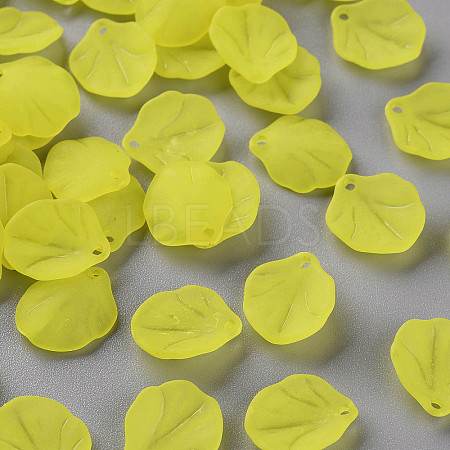 Transparent Frosted Acrylic Pendants MACR-S371-02A-717-1