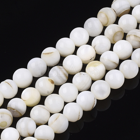 Freshwater Shell Beads Strands SHEL-T011-01-6mm-1