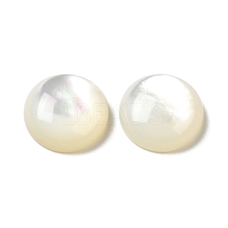 Natural White Shell Cabochons SSHEL-M022-01D-1