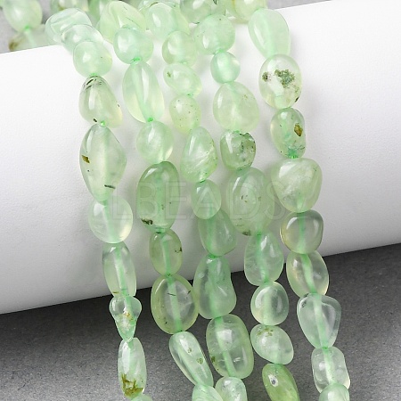 Natural Prehnite Beads Strands G-G018-64-1