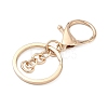 Alloy Keychain Clasps X-FIND-C084-10KCG-2
