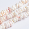 Natural Pink Shell Beads Strands SSHEL-L016-19-1