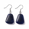 Natural Sodalite Trapezoid Dangle Earrings EJEW-D188-02P-07-1