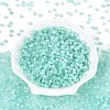 Drawbench Style Glass Seed Beads SEED-N008-11H-2