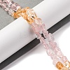 Natural Rose Quartz & Citrine Beads Strands G-L610-B10-01-2