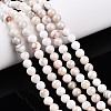 Natural Persian Jade Beads Strands G-A255-A02-04K-1