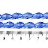 Transparent Glass Beads Strands EGLA-N013-T4mm-D10-4
