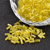 Glass Bugle Beads SEED-I001-170-1