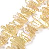 Natural Quartz Crystal Points Beads Strands G-K181-B27-1