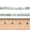 Natural Larimar Beads Strands G-F785-B01-01A-3