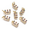 Brass Micro Pave Cubic Zirconia Charms ZIRC-L070-38E-G-1