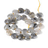 Natural Labradorite Beads Strands LS-G-P592-B14-01-3