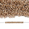 TOHO 8/0 Round Beads X-SEED-TR08-0989-4