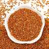 Electroplate Glass Seed Beads SEED-H003-10F-3