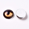 Glass Cabochons GLAA-WH0015-22D-08-1