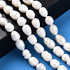 Natural Cultured Freshwater Pearl Beads Strands PEAR-N012-08E-6