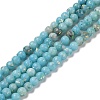 Assembled Natural Dolomite and Synthetic Opal Beads Strands G-Q017-G06-01A-1-1