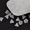 Frosted Acrylic Beads PL692-13-2