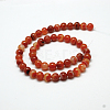 Natural Red Agate Bead Strands G-G880-05-8mm-3