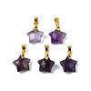 Natural Amethyst Charms G-N326-142-03-2