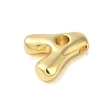 Rack Plating Brass Pendants X-KK-C067-10G-A-2