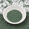 MIYUKI Delica Beads SEED-X0054-DB2312-2