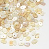 Dyed Natural Freshwater Shell Chips Beads X-SHEL-A003-D02-1