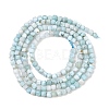 Natural Larimar Beads Strands G-F803-C01-03A-3