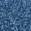 MIYUKI Delica Beads SEED-JP0008-DB1811-3