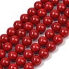 Shell Pearl Beads Strands X-BSHE-K015-8mm-01-1