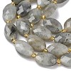 Natural Labradorite Beads Strands G-A295-A01-01-4