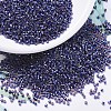 MIYUKI Delica Beads X-SEED-J020-DB0278-1