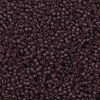 TOHO 11/0 Round Beads SEED-XTR11-0006BF-2
