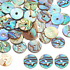 AHANDMAKER Natural Paua Shell/Abalone Shell Beads SSHEL-GA0001-04-1