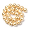 Electroplated Shell Pearl Beads Strands BSHE-G041-16mm-01-2