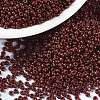 MIYUKI Round Rocailles Beads X-SEED-G009-RR4470-1