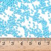 Cylinder Seed Beads SEED-H001-H05-4