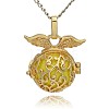 Golden Tone Brass Hollow Round Cage Pendants KK-J230-04G-3