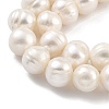 Natural Cultured Freshwater Pearl Beads Strands PEAR-C003-14F-4